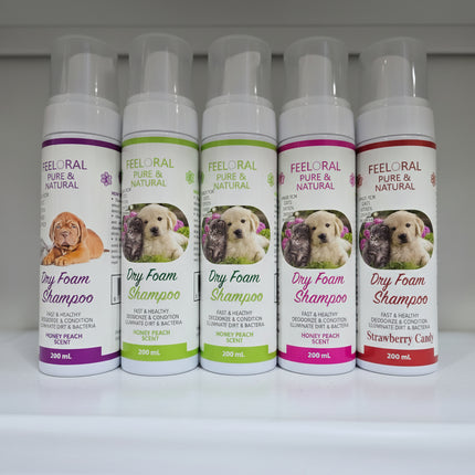 Row of Feeloral Dry Foam Shampoo bottles with dog images on labels.