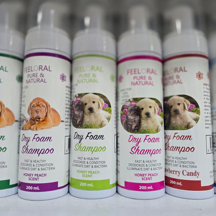 Row of Feeloral Dry Foam Shampoo bottles with dog images on labels.