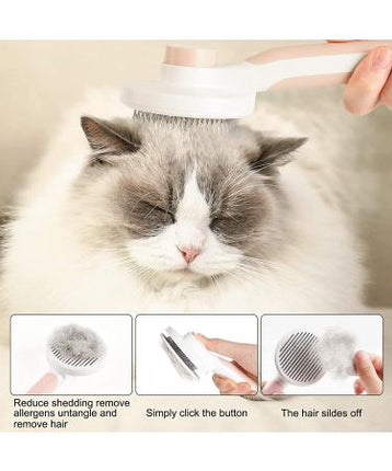 Brush
