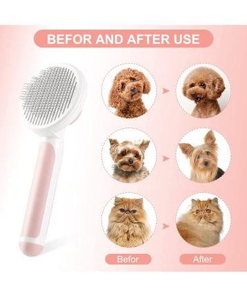Brush