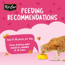 Cat feeding on a pink background with Kit Cat branding and feeding recommendations text.