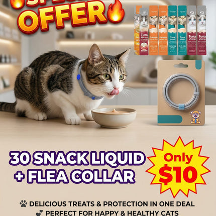 Cat antiparasite collar + 30 snack liquid