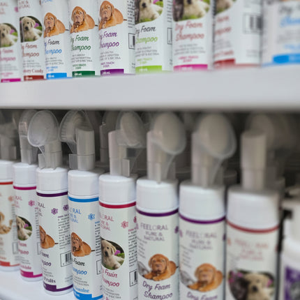 Dry Shampoo For Pet