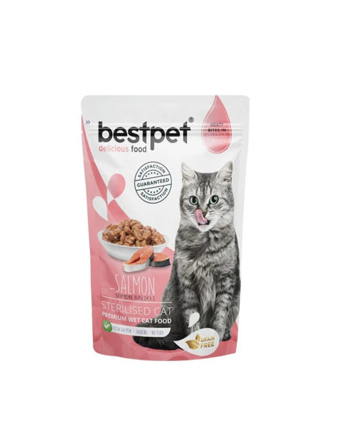 Package of BestPet cat food with a cat on the label on a white background