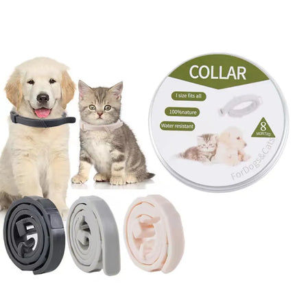 Dog and cat wearing collars with packaging labeled 'Collar' on a white background.