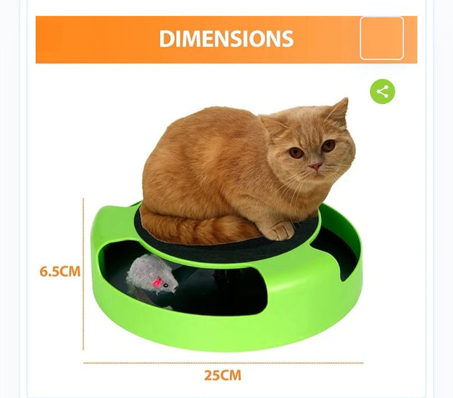 Catch the mouse Cat game