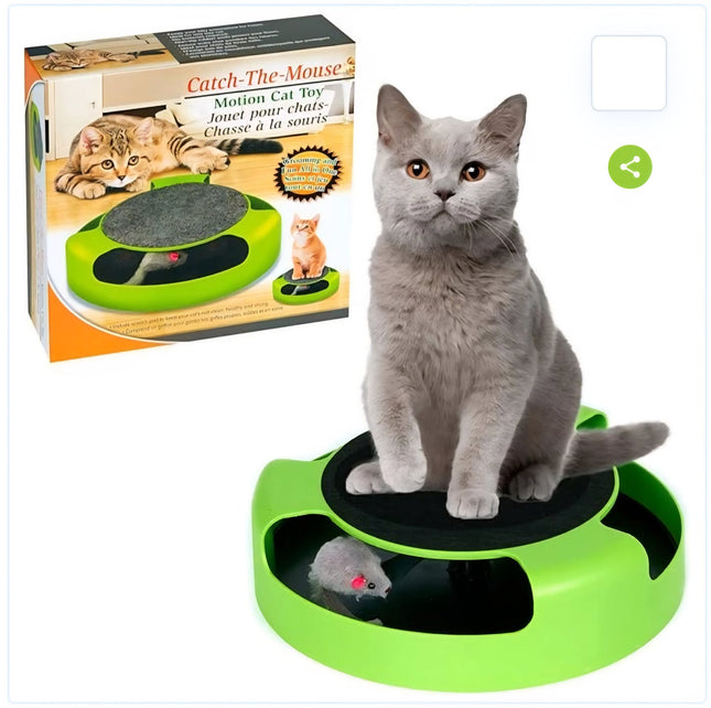 Catch the mouse Cat game