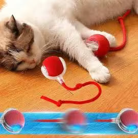 Crazy ball for Cat & Dog